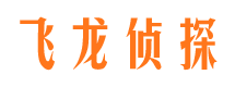 石嘴山市调查公司